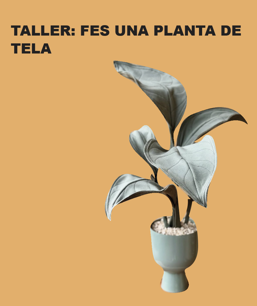 TALLER: FES UNA PLANTA
